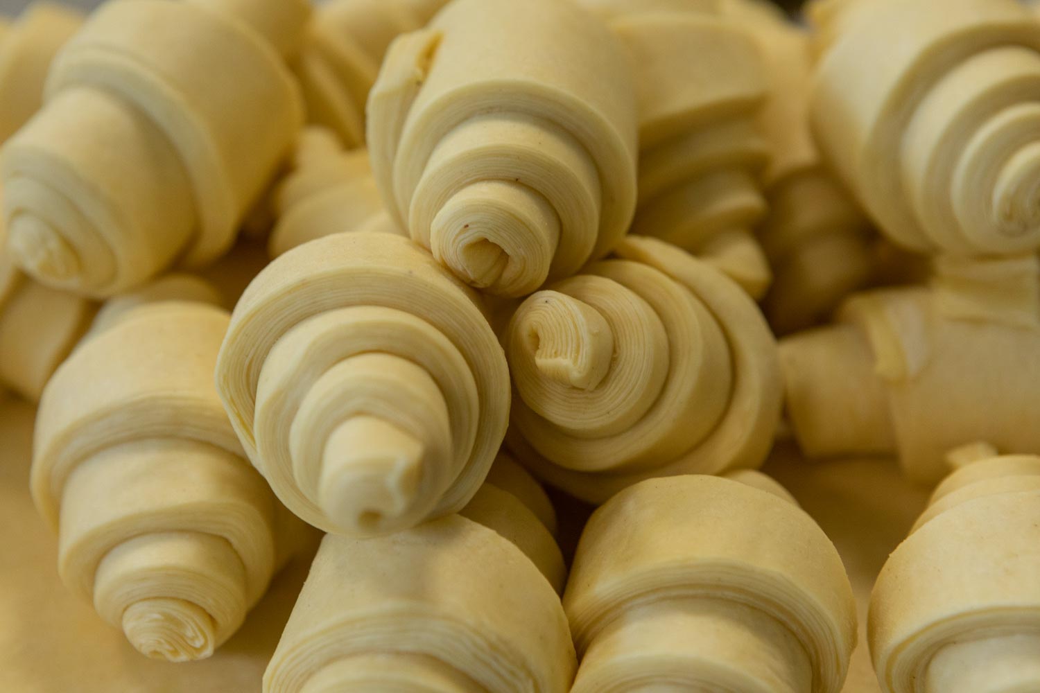 Dolce Valle - Laboratorio