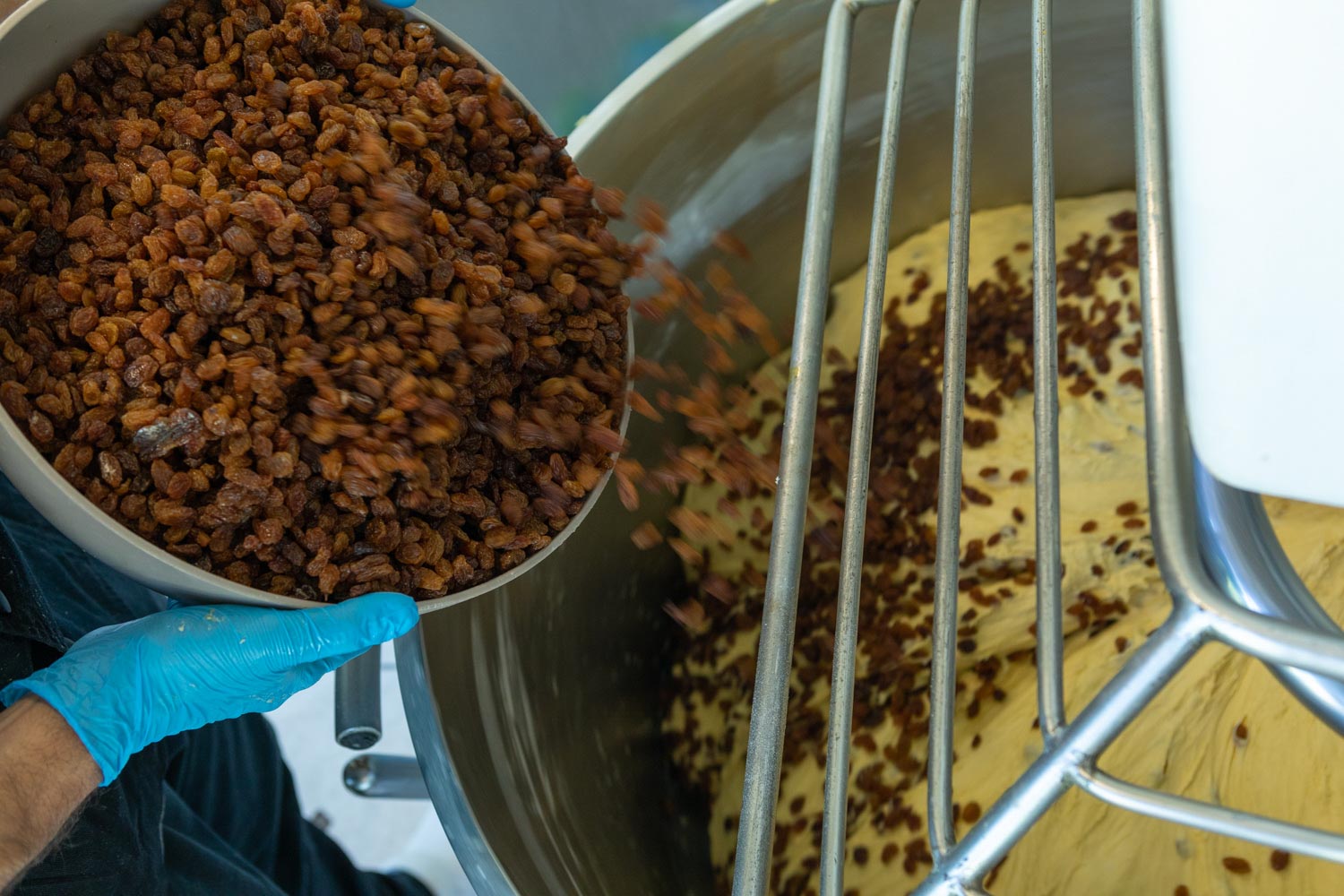 Dolce Valle - Laboratorio