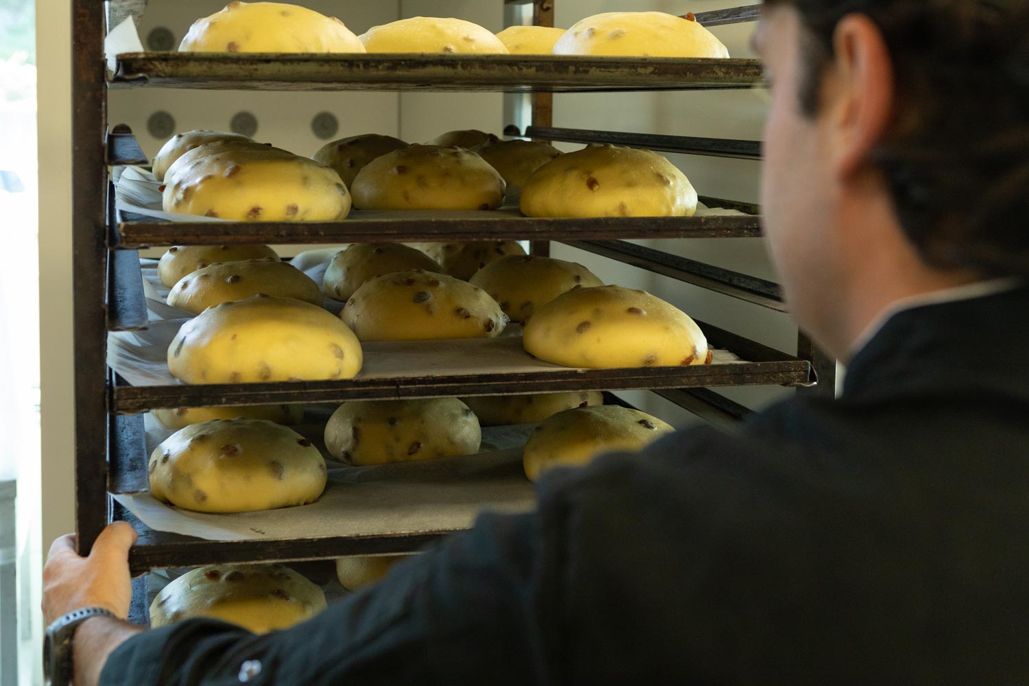 Dolce Valle - Laboratorio